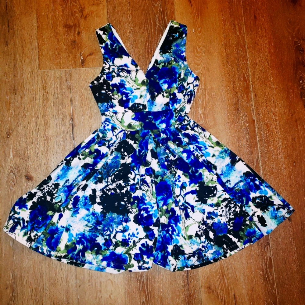 Beautiful  floral fit and flare swing dress.